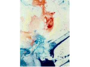 Wisdom Shared Wisdom Shared