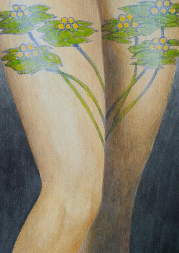 image_313-1.png