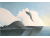 Day Rising 2014-11-14_15.28.25.png