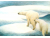 "Look Out"  2015-03-09_07.52.18-1-1-1.png
