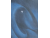 Moonlight Night image_371-1.png