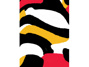 Fall Shadows Wild Fall Shadows Wild