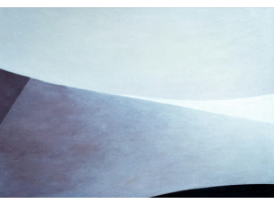 Disappearing Night  Disappearing Night