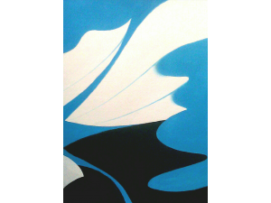 Black Reflection Blue