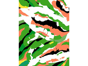 First Snow First Snow