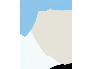 Big Icy, Shadow Light 