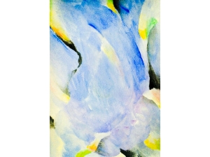 Late Bloom, Seasonal Approach Late Bloom, Seasonal Approach