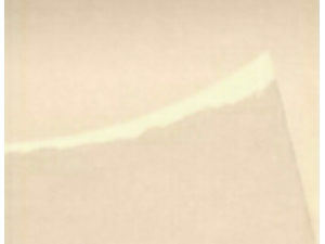 Daylight Spring Daylight Spring