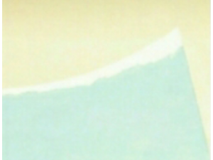 Daylight Summer  Daylight Summer