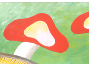 Mushrooms Wild Mushrooms Wild